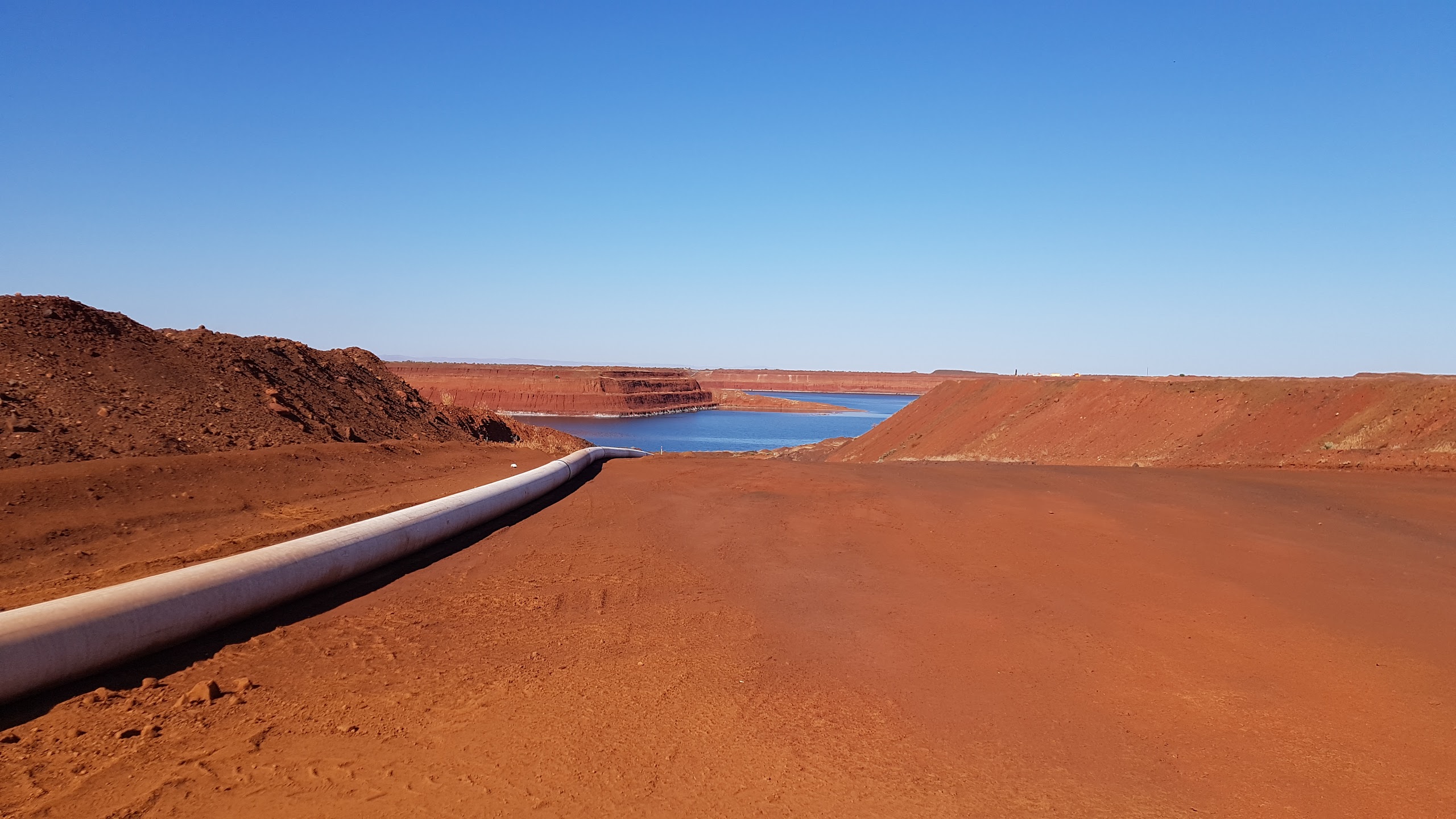 Mining Surveys